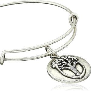 NWT Alex & Ani Bracelet Unexpected Miracles Silver